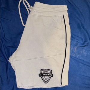 Mens  Alphalete varsity shorts